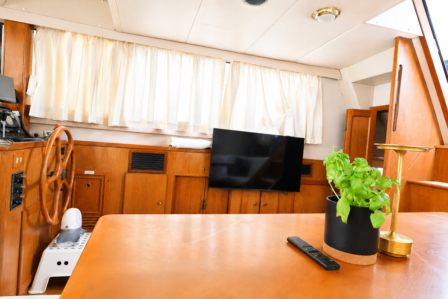 Edership 41 Fly - 