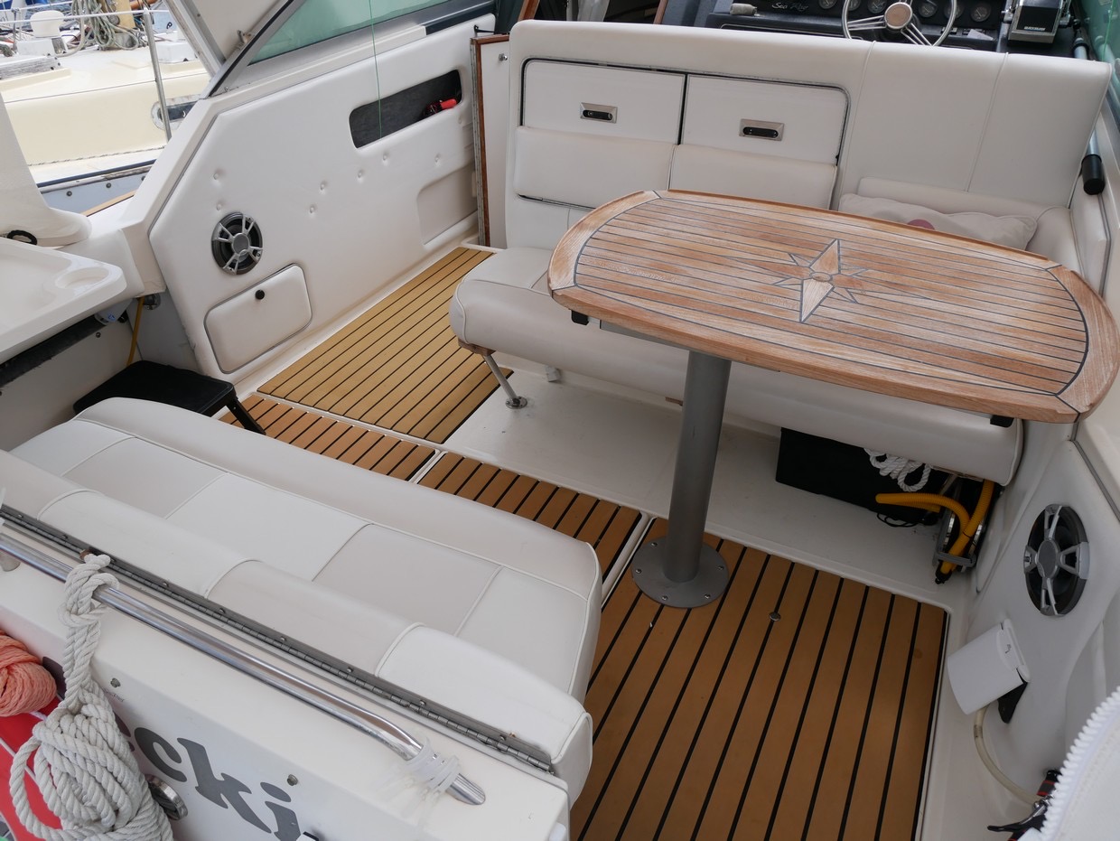 Sea Ray 290 DA - 