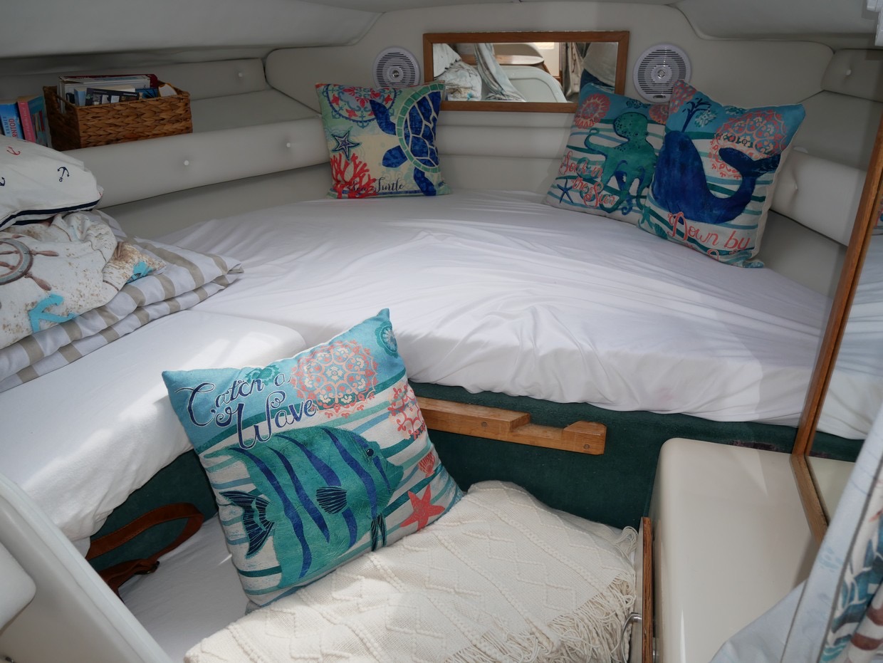 Sea Ray 290 DA - 