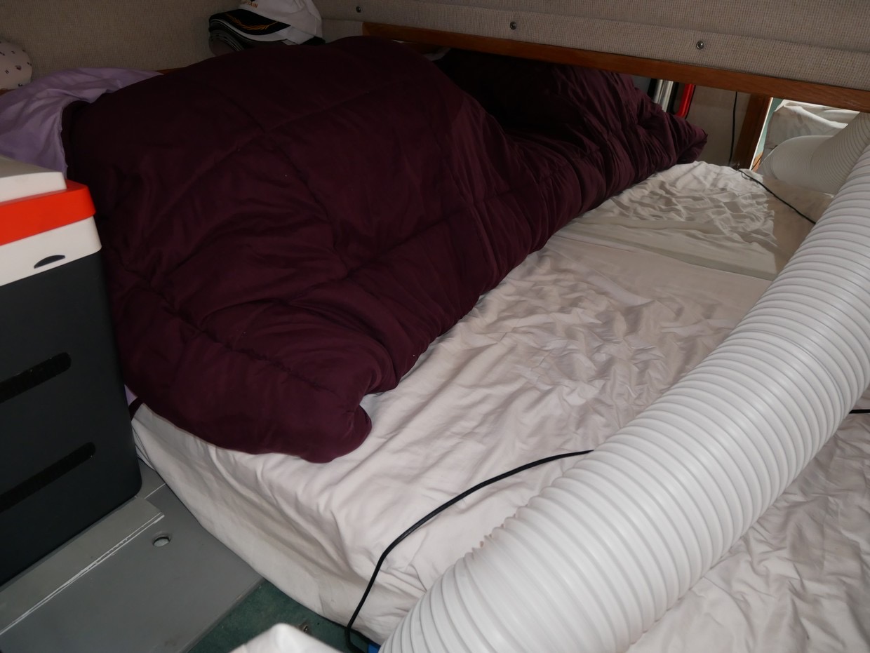 Sea Ray 290 DA - 