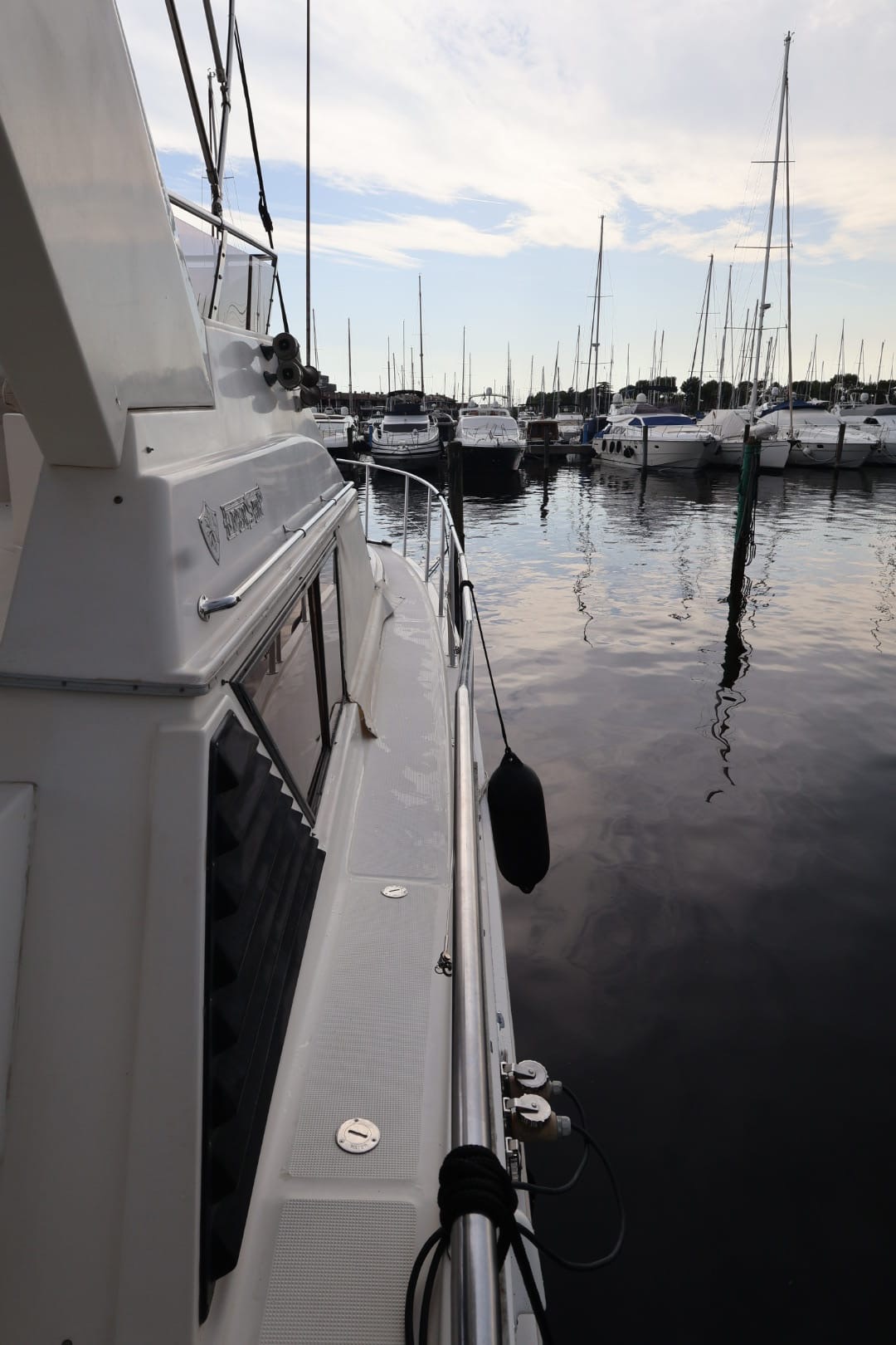 Edership 41 Fly - 